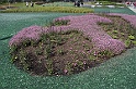 BUGA Schwerin   005